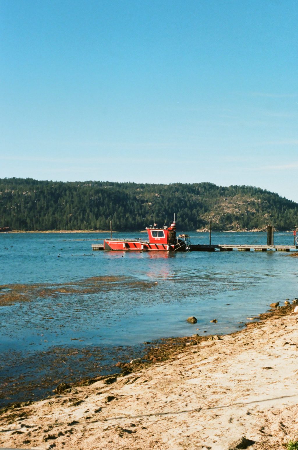 Kodak Portra 400