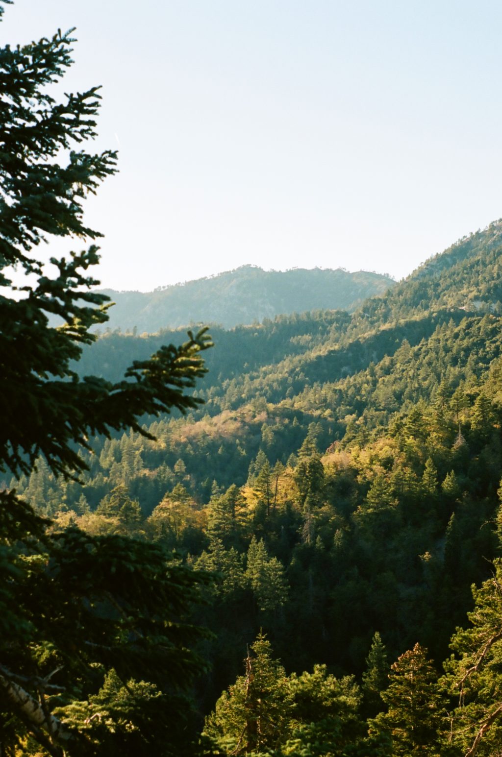 Kodak Portra 400