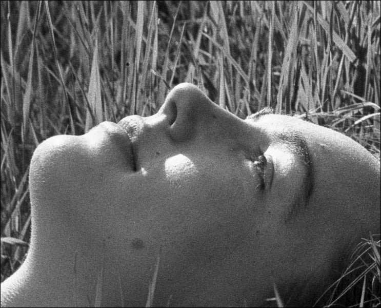 Bergger Pancro 400