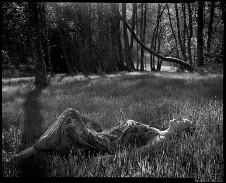 Bergger Pancro 400