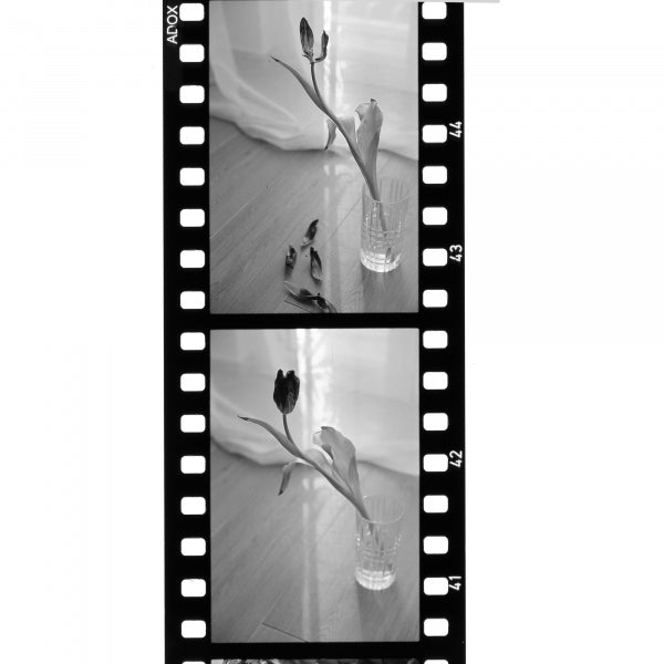 Adox Scala 50