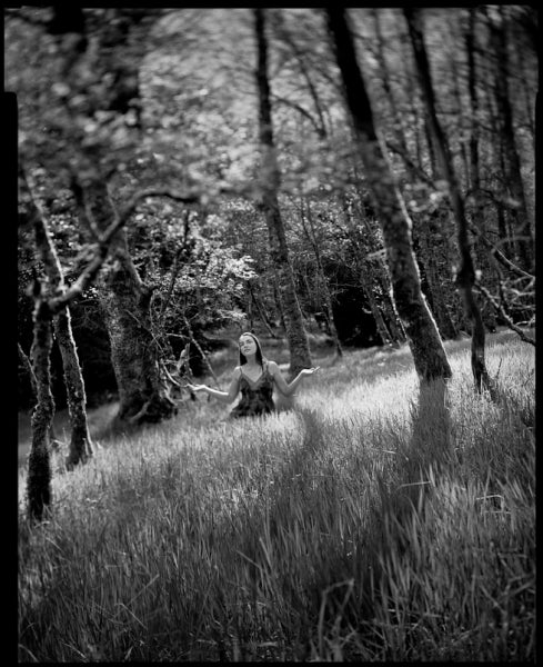 Bergger Pancro 400