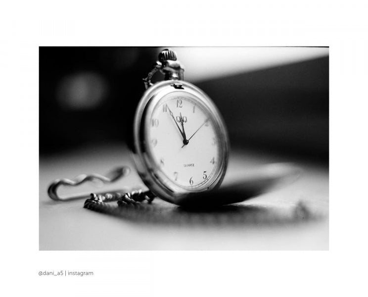Rollei Blackbird 100