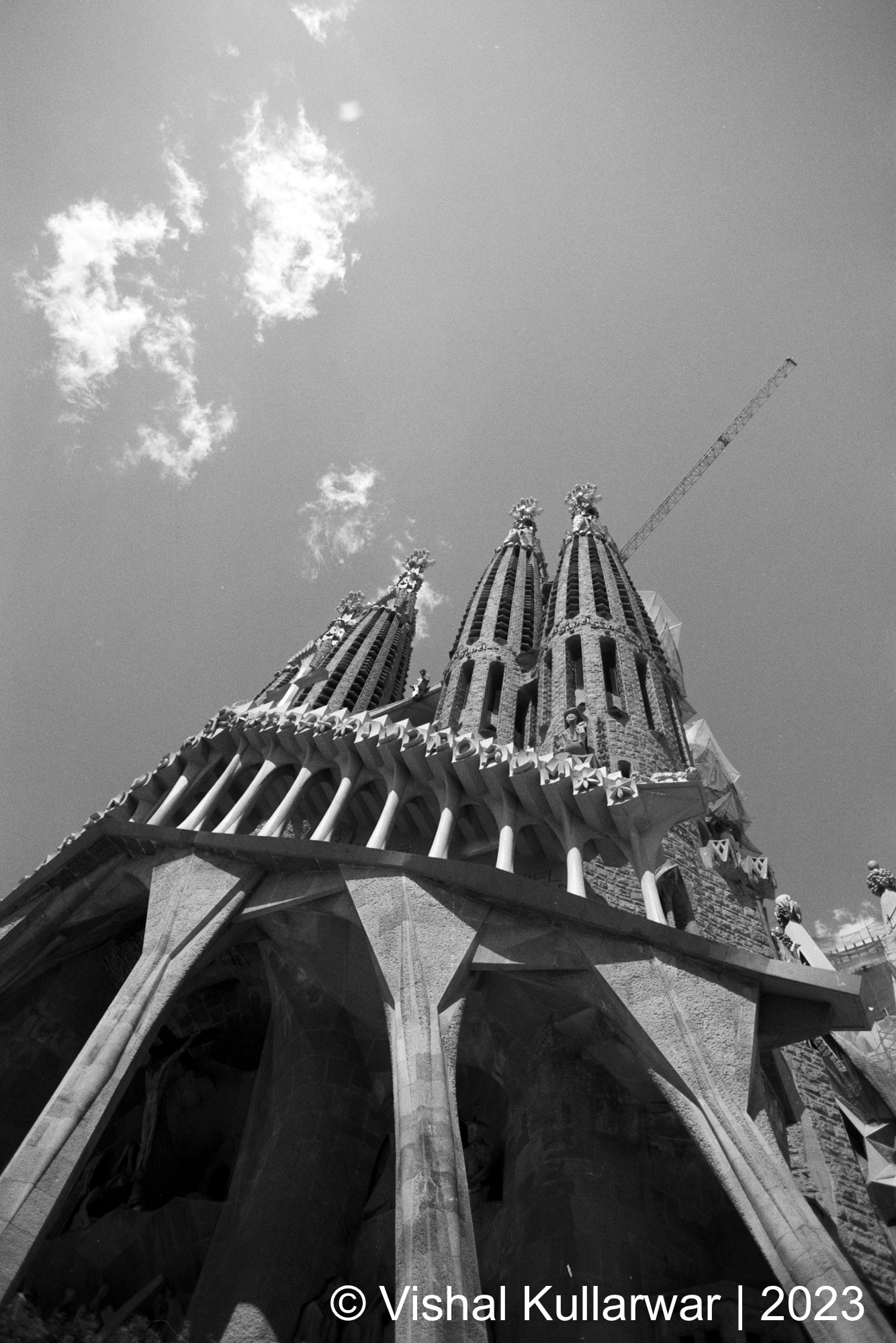 Fuji Neopan 100 Acros II