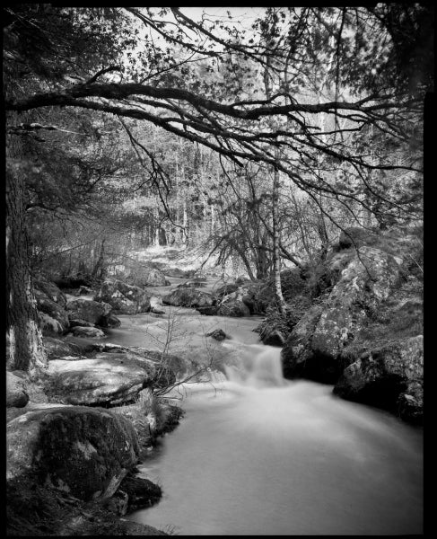 Bergger Pancro 400