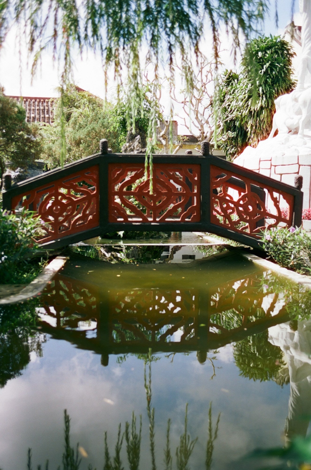 Saket Gyani