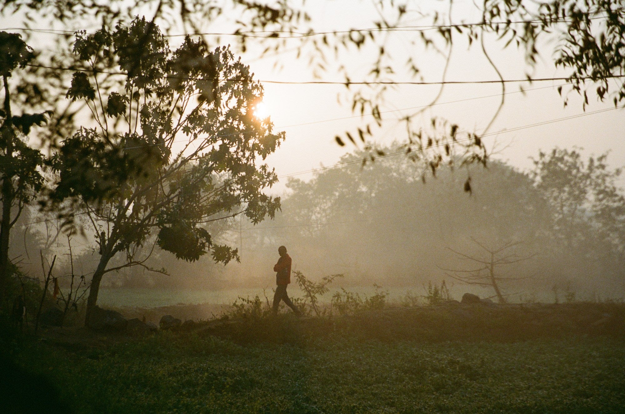 Piyush Puty